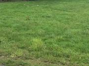 Nozay 44170 Programme neuf terrain neuf à vendre