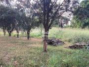 Núcleo Rural Córrego do Torto Terreno / Lote à venda,...