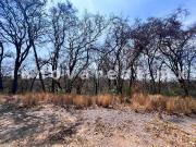 Nueces en Rancho San Juan