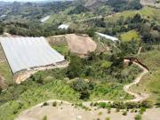 Nuevo ingreso | Finca en San Vicente de Ferrer | 30...