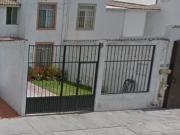 NUEZ DE GOLA NOGALIA IRAPUATO GUANAJUATO