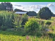 Nur ca. 50 km von Berlin * Schöner Wohnen auf dem Lande