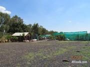 Nursery premisses to let