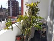 Núñez departamento dúplex 3Amb Reciclado a mts Cabildo/Estac