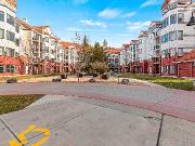 Nw Condo! 2 Bed, 2 Bath!