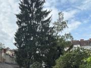 Oase mitten in der Stadt 104m² Apartment mit Balkon ins...