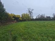 Oasis en Loncoche: Espacio y Serenidad