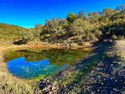 OBEJO Finca de 8 hectáreas con casa de 110 m2 con 4...