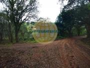 Óbidos Leiria 87992205