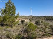 OCASION GRAN FINCA RUSTICA CON EDIFICACIONES A REFORMAR...