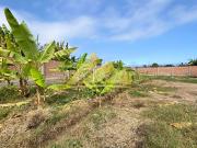 SE VENDE TERRENO AGRICOLA 3573M2 MALA CAÑETE