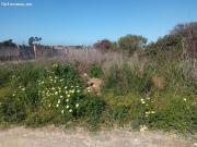 OCASIÓN PARCELA ZONA SIETE PILAS