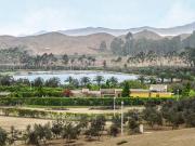 OCASION TERRENO Condominio Finca Olivos