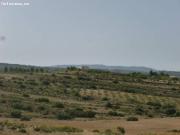 OCASION TERRENO RUSTICO DE 11 HECTAREAS