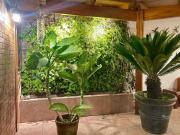 Ocasión ! Vendo Casa como Terreno Av. Octavio Espinoza y...