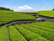 OCASION VENDO TERRENO RESIDENCIAL $ 35 X M2 COND. RIO...