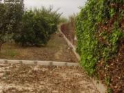 OCASION+TERRENO EN VENTA EN BUENA ZONA DE LA RIBERA DE...