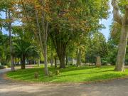 Occitanie Sète, Appartement ancien 82 m2, projet de...