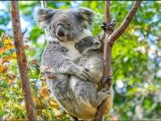 Oceanview Beachfront Family Paradise Fully Furnished NO...