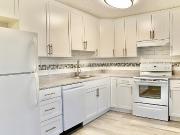October 1/2 Rent! Modern Newly Renovated 2 Bedroom Apt