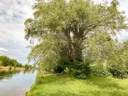 OETWIL AN DER LIMMAT ERSTKLASSIGE TERRASSENWOHNUNG