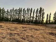 Oferta Parcela 5000m2 incluye container, Condominio Batuco