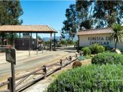 Oferta, parcela en Catapilco Foresta de Zapallar Oferta, parcela en Catapilco Foresta de Zapallar