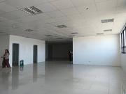 Office and Commercial Space in Mandaue