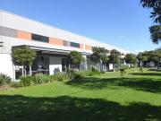 Office /Consulting / Showroom