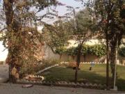 Office Type House For Rent Multan ID 18526