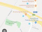 Offro casa in affitto