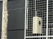 Ofibodega en alquiler 560m²| Independiente|Vía a Daule...