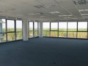 Oficina AAA de 340m2 3 cocheras en el destacado Madero...