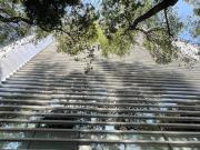 Oficina Acondicionada en Renta – 365 m² sobre Paseo de...