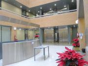 Oficina Alquiler Sevilla