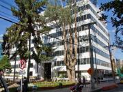 OFICINA ARRIENDO CALLE 99 DE 530 M2