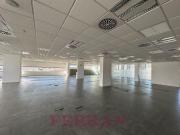 Oficina de alto standing de 675 mq en alquiler...