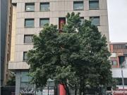 Oficina de alto standing en alquiler Bogotá, Colombia