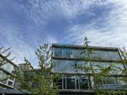 Oficina, Donostia San Sebastián