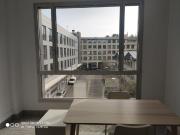 Oficina, Donostia San Sebastián