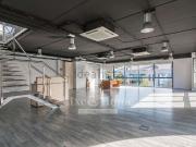 Oficina, Donostia San Sebastián