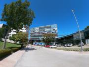 Oficina Ejecutiva en Renta en Av. Isla de Tris, Carmen, Camp