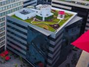 Oficina Empresarial Centro Empresarial Real Torre 6