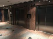 Oficina en Alquiler El Rosal 1.449 M2