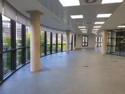 Oficina en alquiler en calle D' Ausias March,...