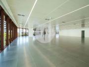 Oficina en alquiler en calle D'àlaba, Barcelona, de...