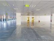 Oficina en alquiler en Campus Corporativo en Las Tablas...