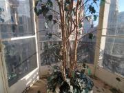 Oficina en Alquiler en Dreta de l'Eixample