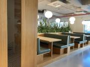 Oficina en alquiler en Madrid, Chamberí