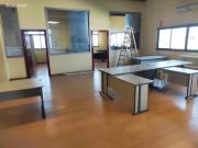 Oficina en alquiler en Mallorca, La Indiotería Urbano